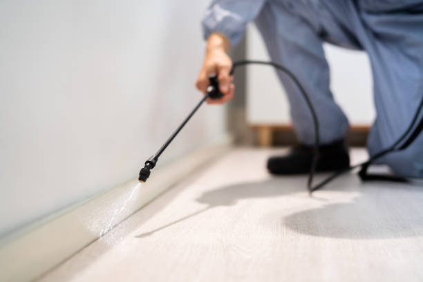 Licensed Pest Control service in Camas, WA - Show Me Pest Control
